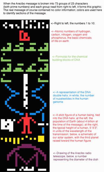  Schema del messaggio di Arecibo 