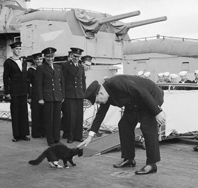 Churchill e il gatto