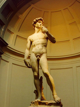  Il David - Michelangelo 