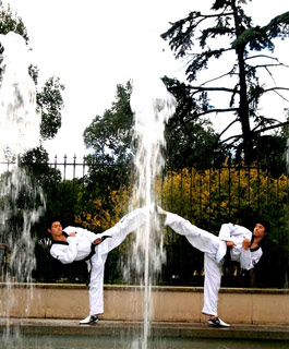  Taekwon-Do Demo Team 