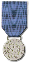  Medaglia d'Argento al V. M. 