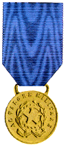 Medaglia d'Oro al Valor Militare