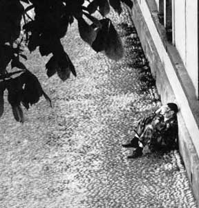  Solitudine 